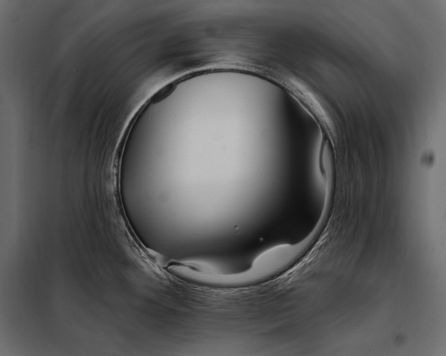 X0000098031292200804251406