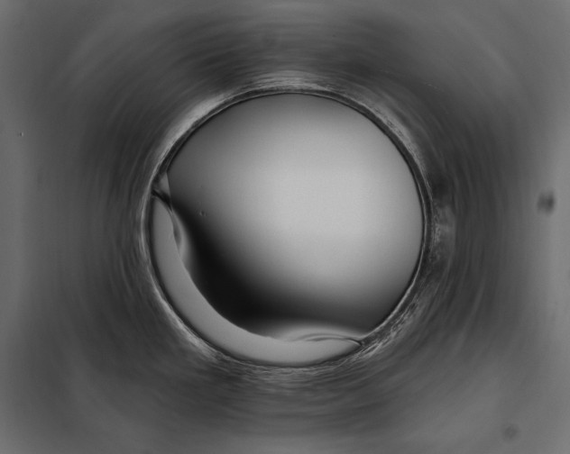 X0000098031293200804251406