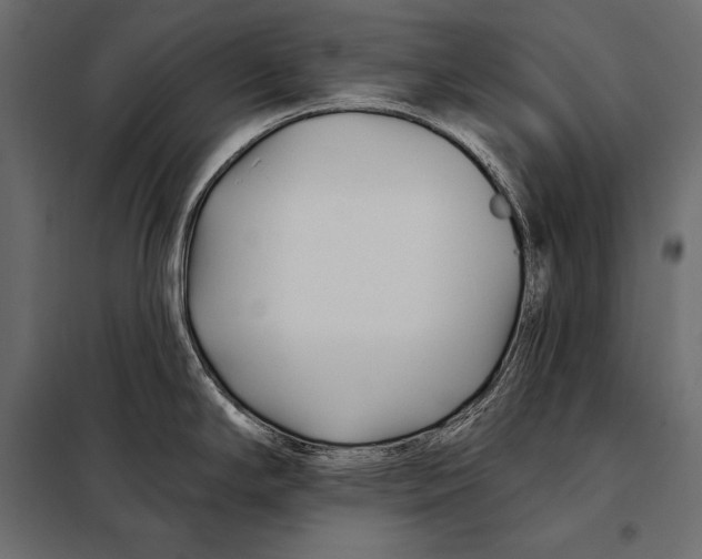 X0000098031294200804251406