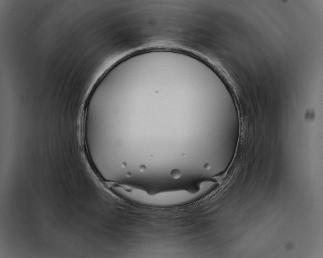 X0000098031295200804251406