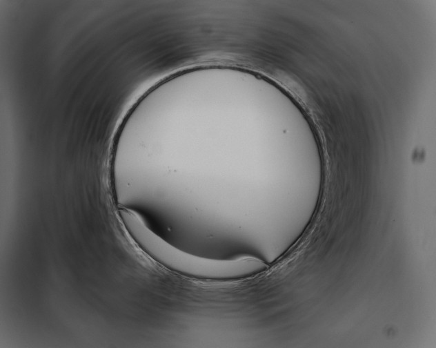 X0000098031296200804251406