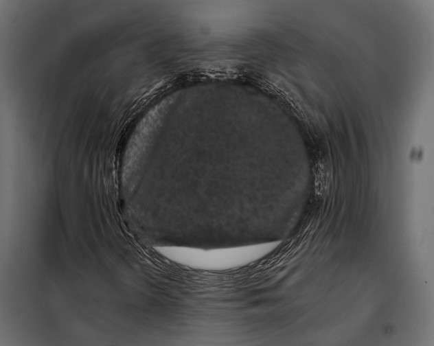 X0000098031298200804251405