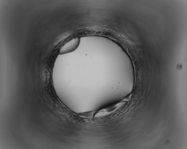 X0000098031302200804251405