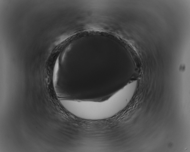 X0000098031303200804251405