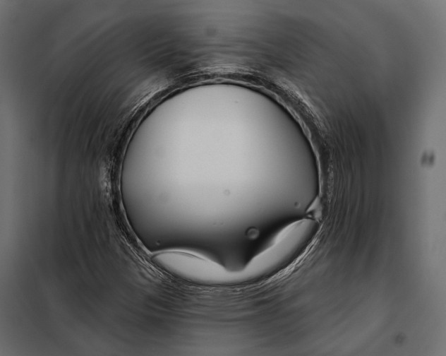 X0000098031305200804251405