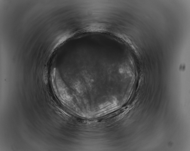 X0000098031306200804251405