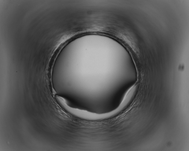 X0000098031308200804251405