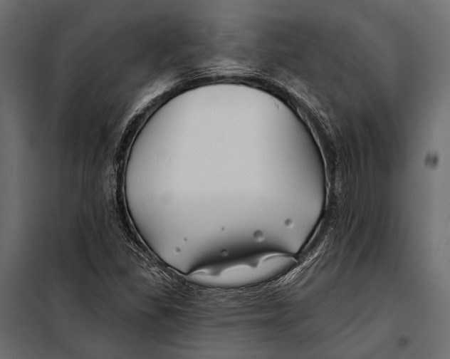 X0000098031309200804251405