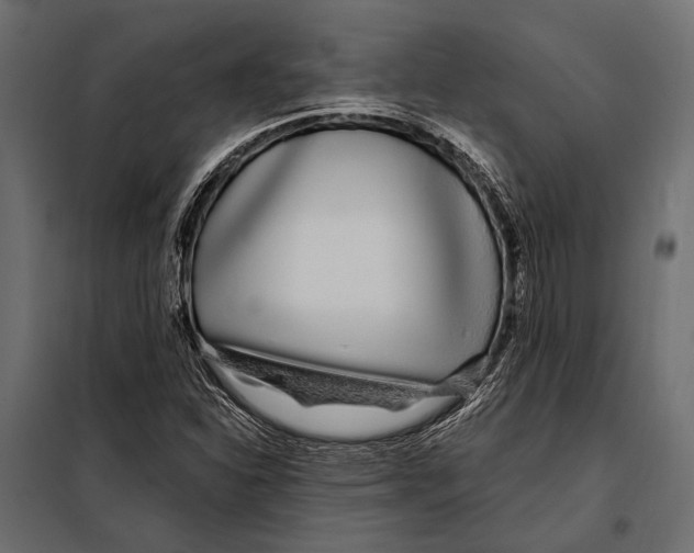 X0000098031310200804251405