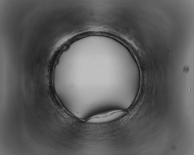 X0000098031311200804251405