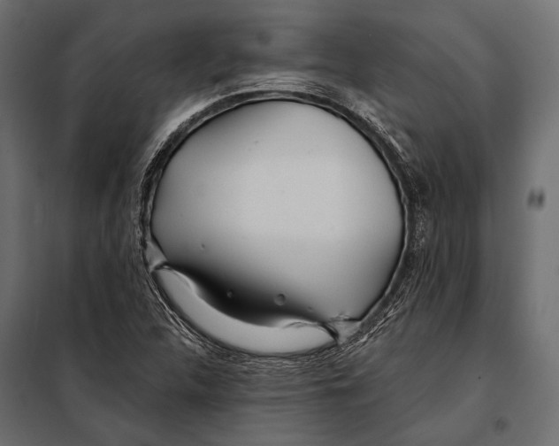 X0000098031312200804251405