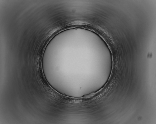 X0000098031313200804251405