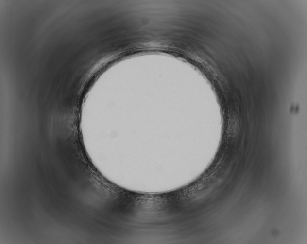 X0000098031314200804251405