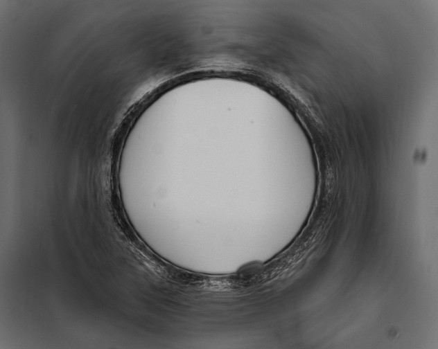 X0000098031315200804251405