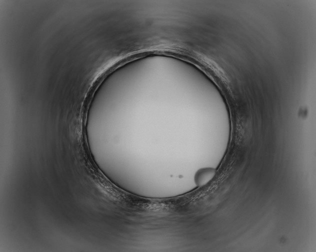 X0000098031316200804251405