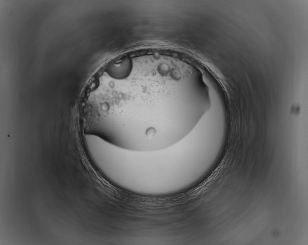 X0000098031318200804251405