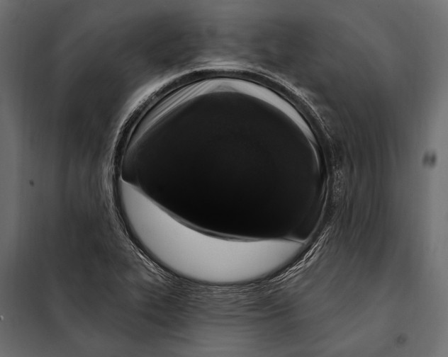 X0000098031319200804251405