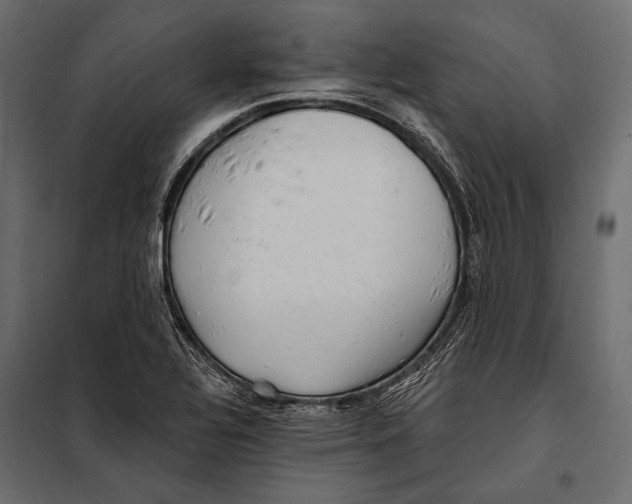 X0000098031320200804251405