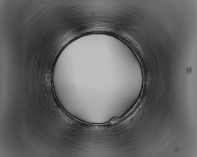 X0000098031321200804251405