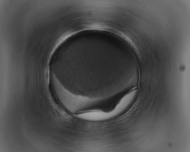 X0000098031323200804251405