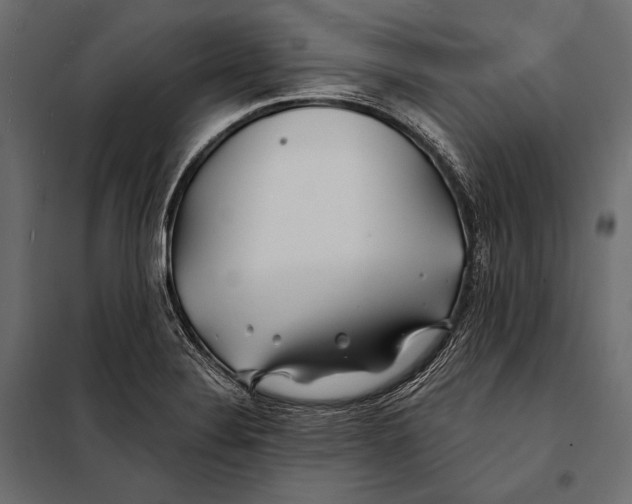 X0000098031324200804251405