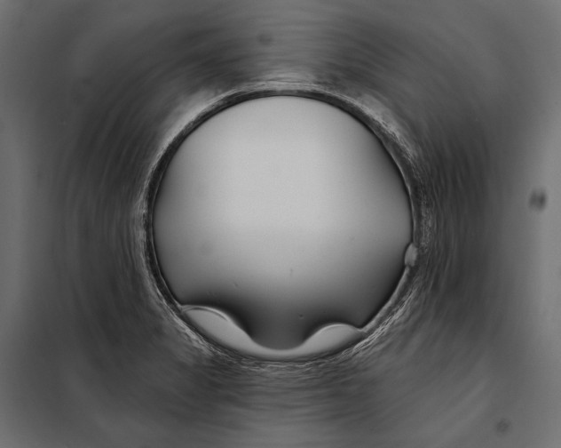 X0000098031325200804251405