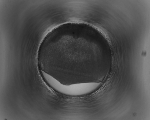 X0000098031327200804251405