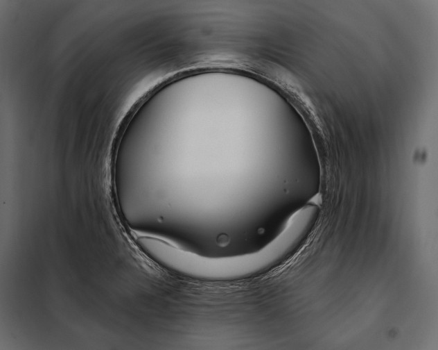 X0000098031328200804251405