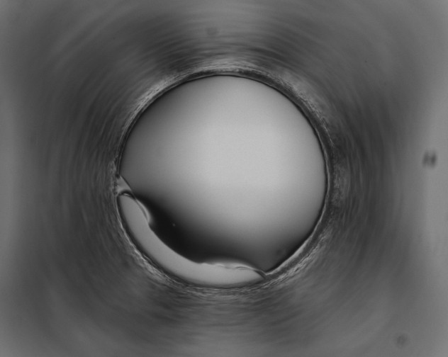 X0000098031329200804251405