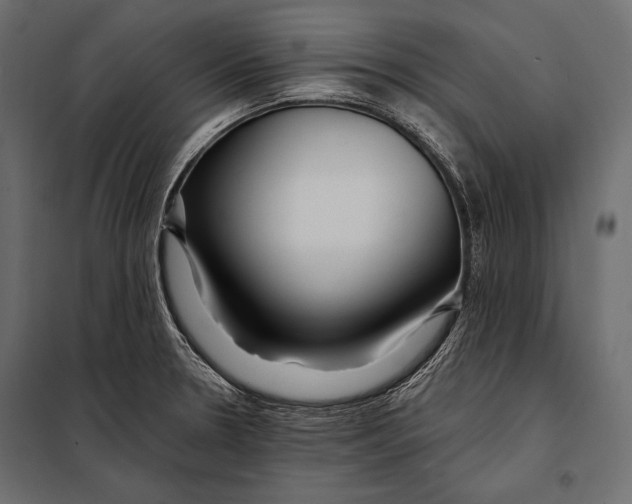 X0000098031330200804251405