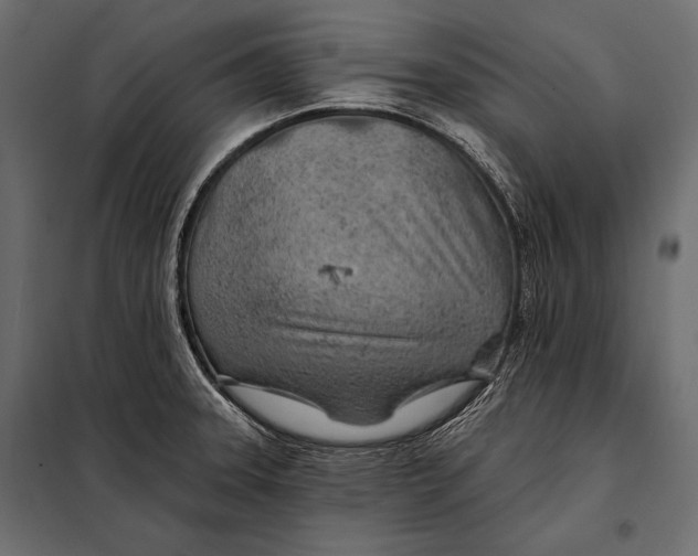 X0000098031331200804251405