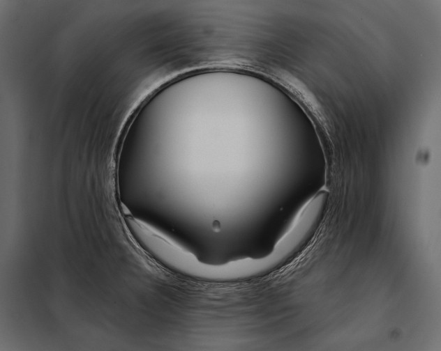 X0000098031332200804251405