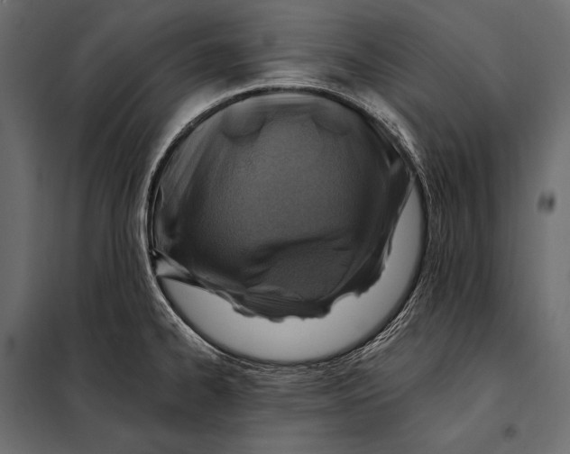 X0000098031334200804251405