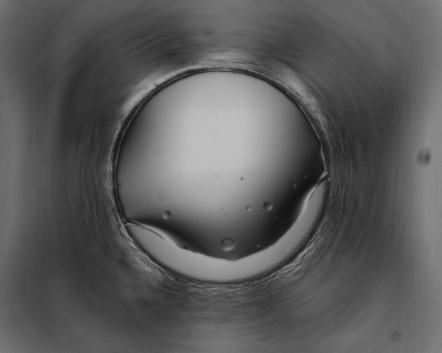 X0000098031336200804251405