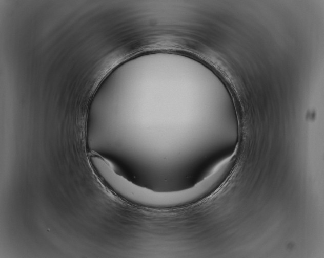 X0000098031337200804251405