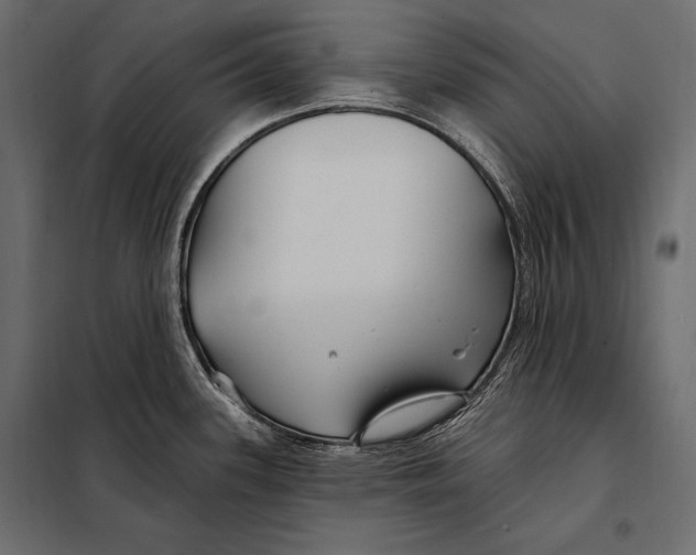 X0000098031339200804251406