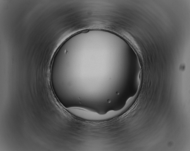 X0000098031340200804251406