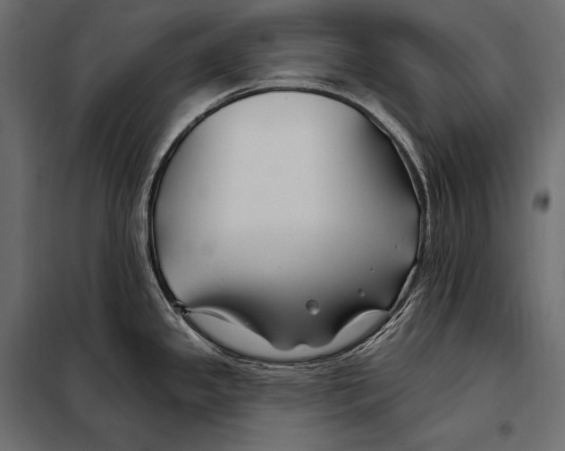 X0000098031341200804251406