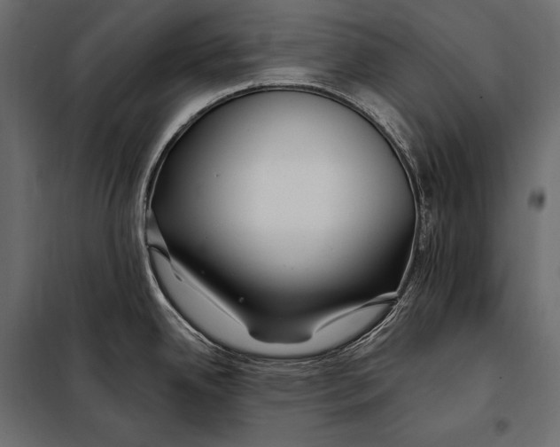 X0000098031342200804251406