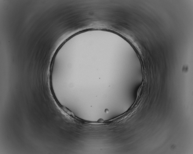 X0000098031343200804251406