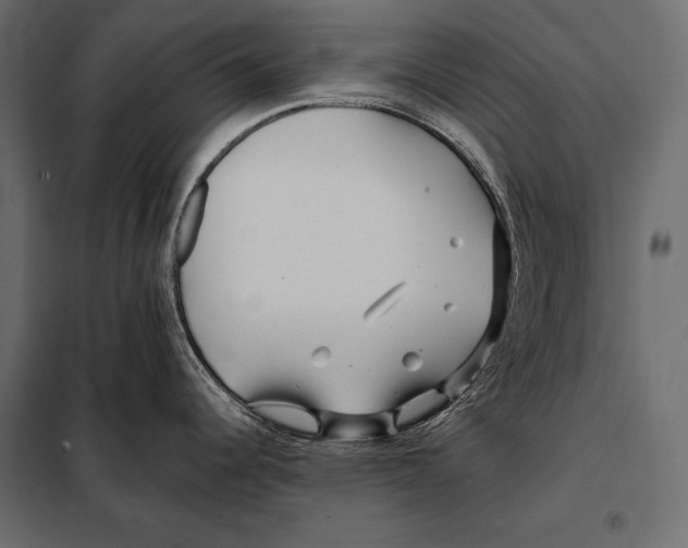 X0000098031344200804251406