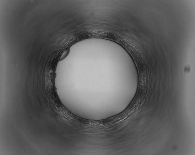 X0000098031346200804251405