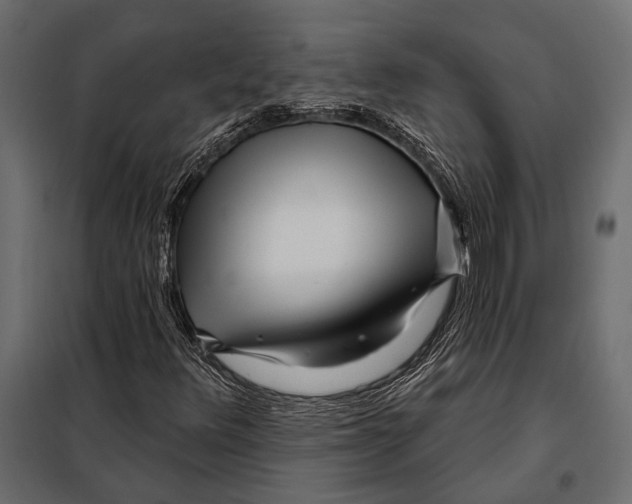 X0000098031348200804251405