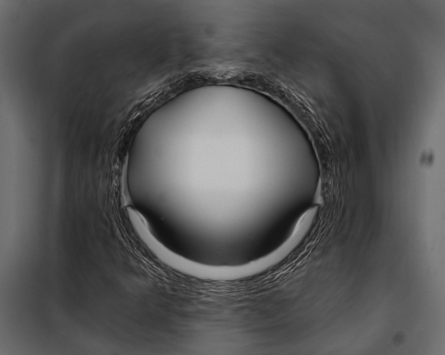 X0000098031349200804251405