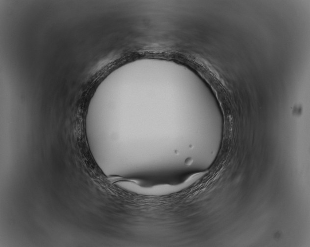 X0000098031350200804251405