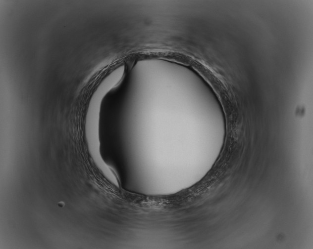 X0000098031351200804251405