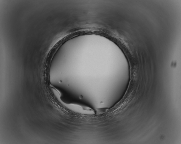 X0000098031352200804251405