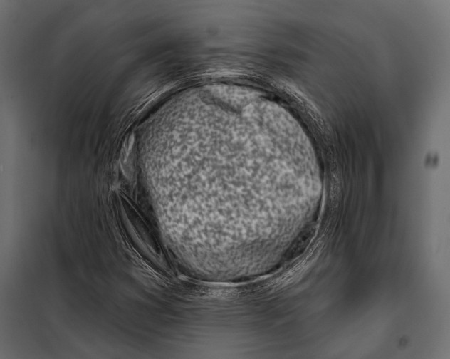 X0000098031353200804251405