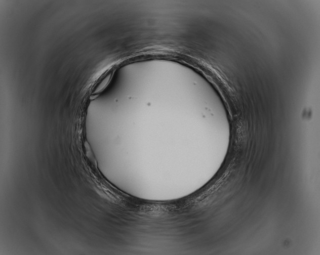 X0000098031355200804251405