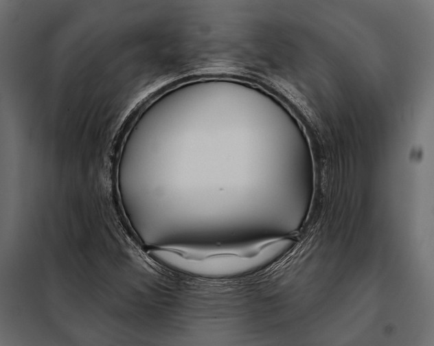 X0000098031356200804251405